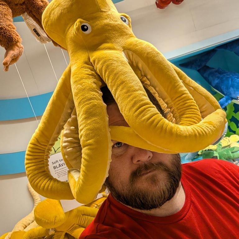 A photo of Steve Ross wearing an IKEA octopus on his head.
